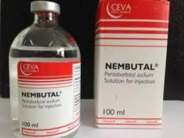 Suicide with nembutal